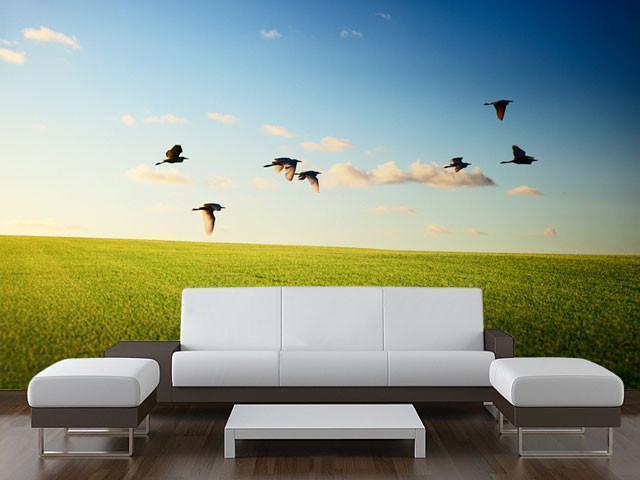 Flying Birds Wall Mural-Wall Mural-Eazywallz