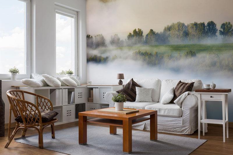 Fog & Fir Trees Wall Mural-Wall Mural-Eazywallz