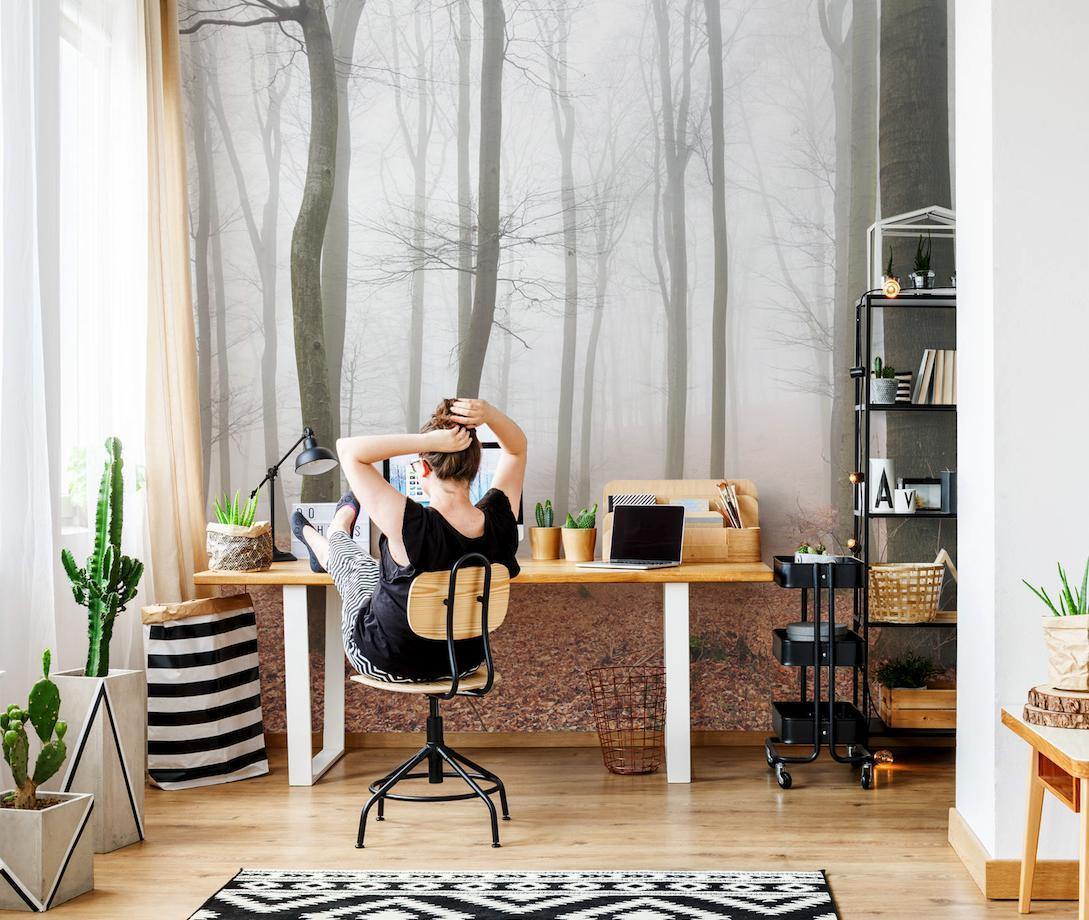 Foggy Autumn Forest Wall Mural-Wall Mural-Eazywallz