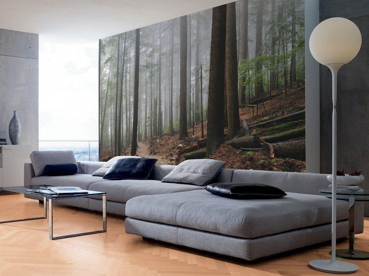 Foggy Forest & Hiking Trail Wall Mural-Wall Mural-Eazywallz
