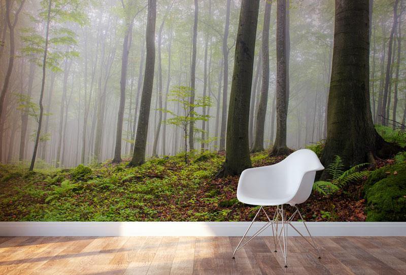 Foggy Forest Hill Wall Mural-Wall Mural-Eazywallz