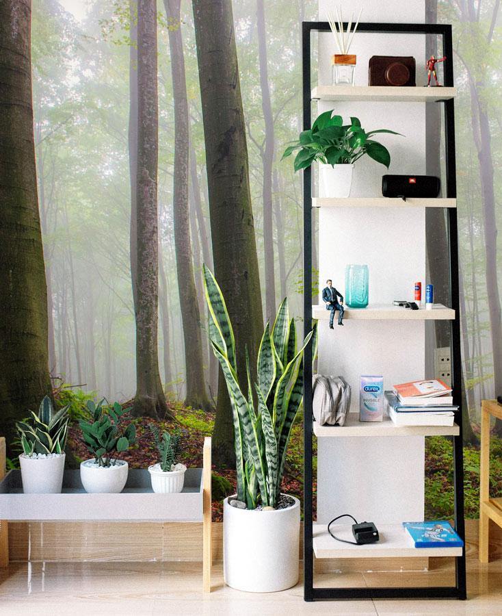 Foggy Forest Hill Wall Mural-Wall Mural-Eazywallz