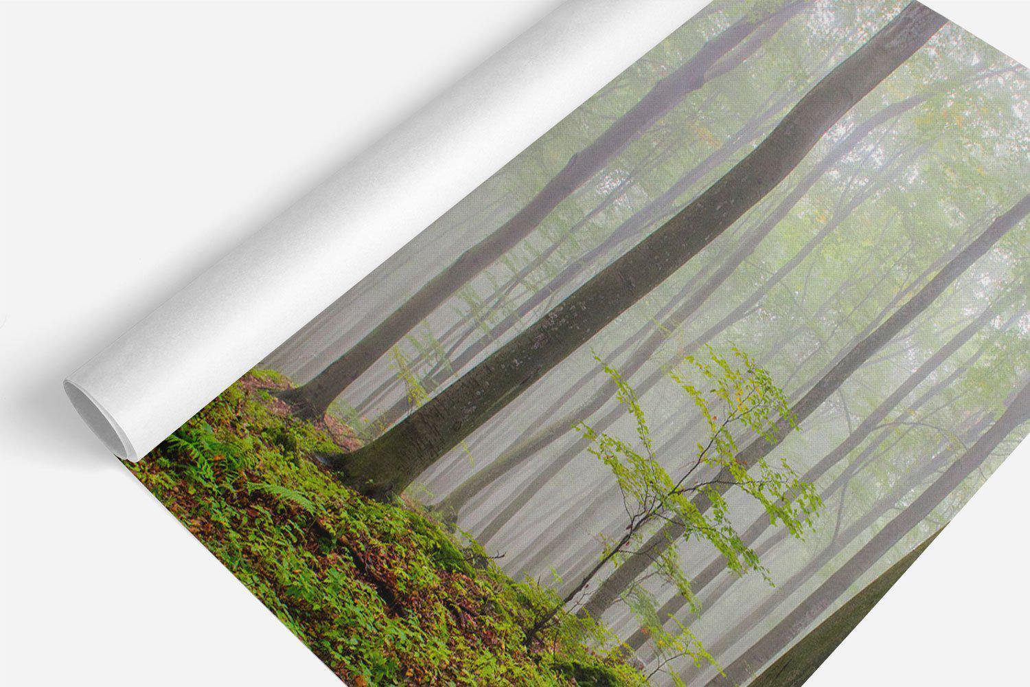 Foggy Forest Hill Wall Mural-Wall Mural-Eazywallz