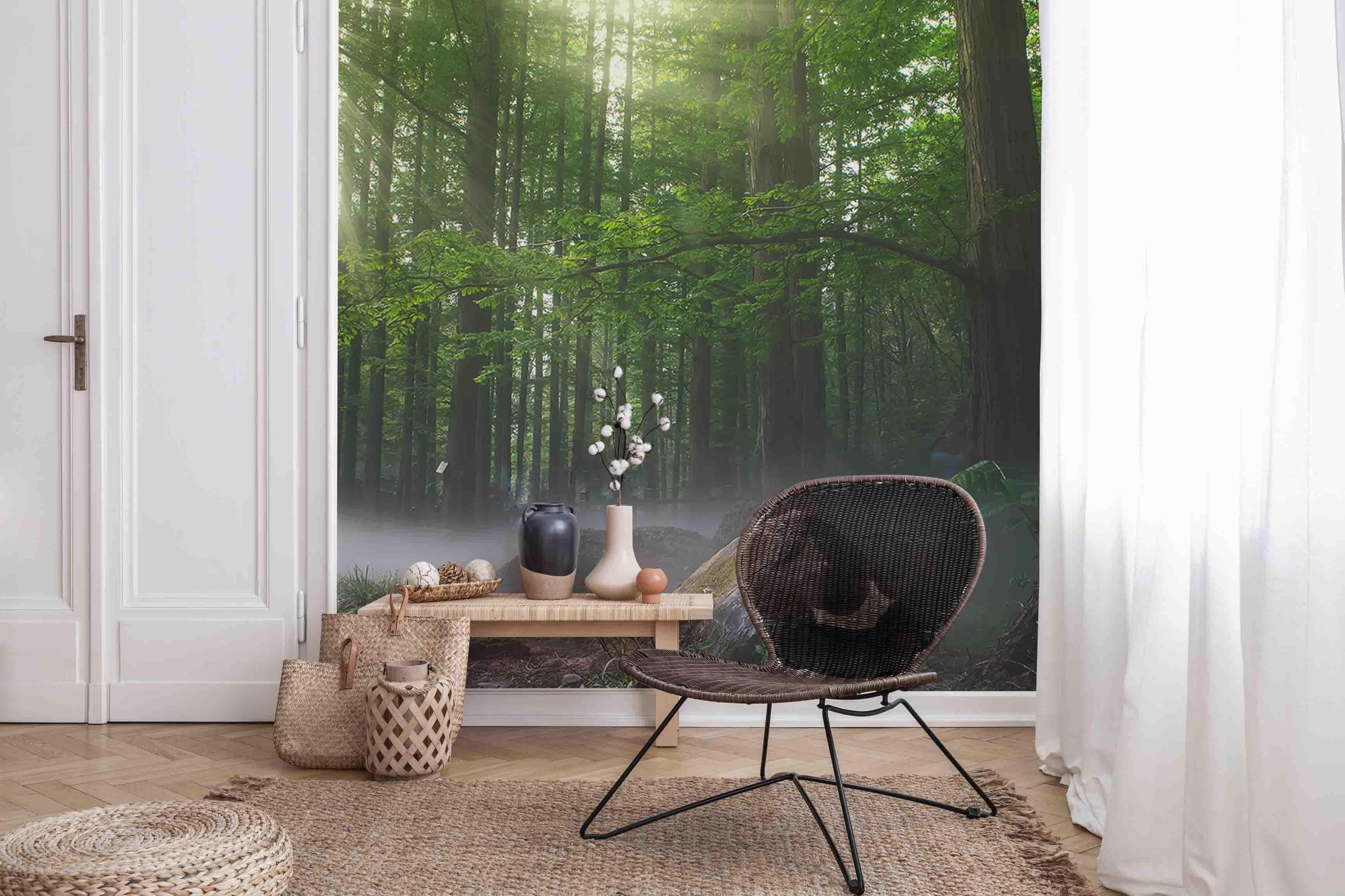 Foggy Forest Trail Wall Mural-Wall Mural-Eazywallz