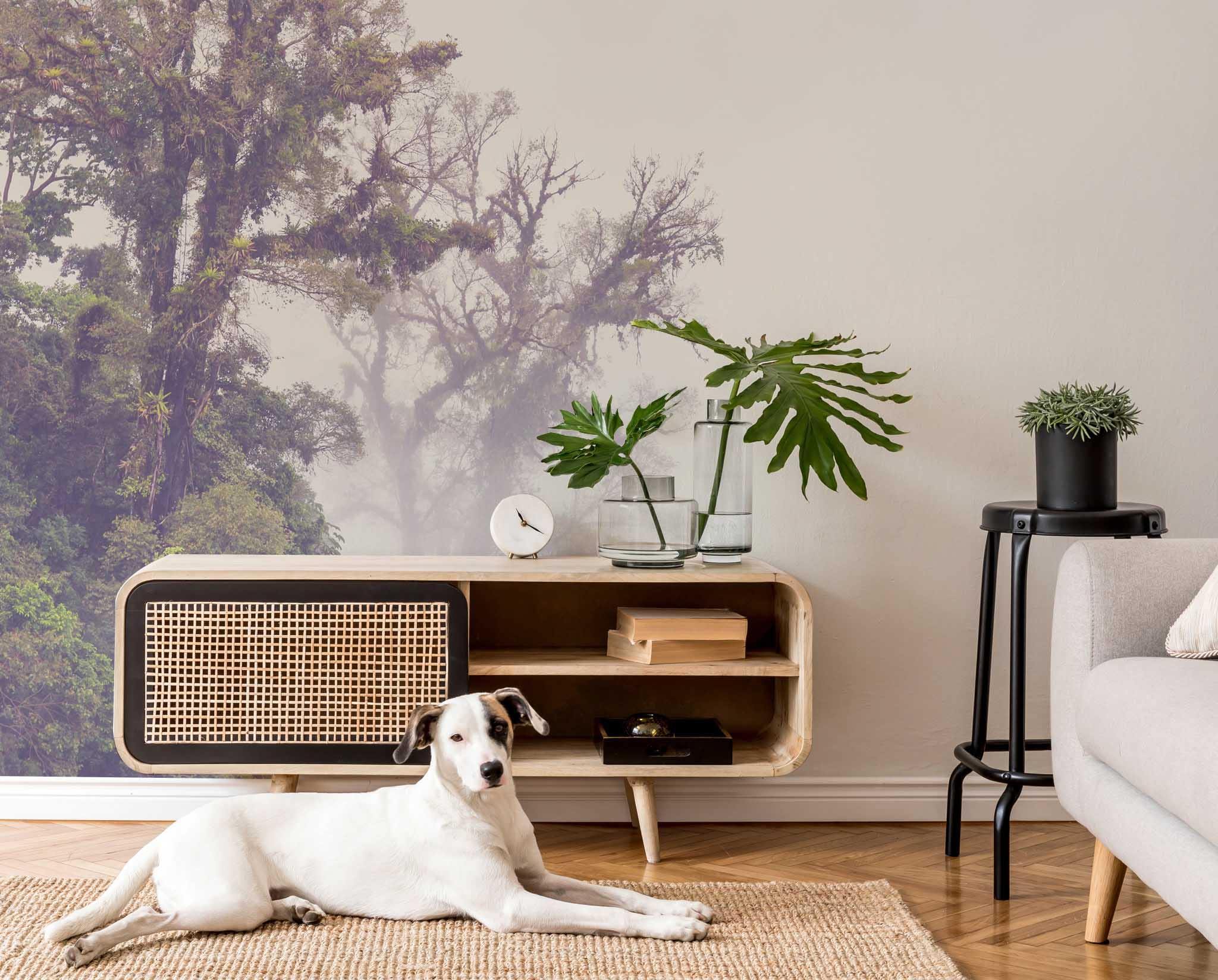 Foggy Jungle 2 Mural Wallpaper-Wall Mural-Eazywallz