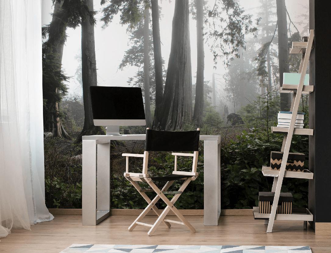 Foggy Vancouver Forest Wall Mural-Wall Mural-Eazywallz