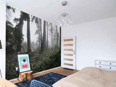 Foggy Vancouver Forest Wall Mural-Wall Mural-Eazywallz