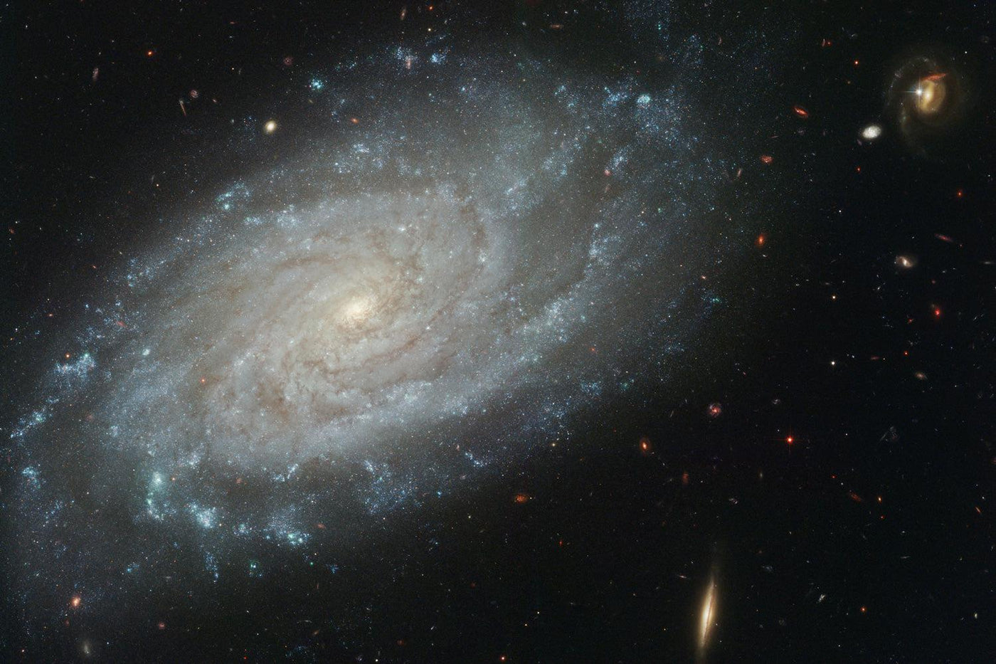 Galaxy NGC3370 Wall Mural-Wall Mural-Eazywallz