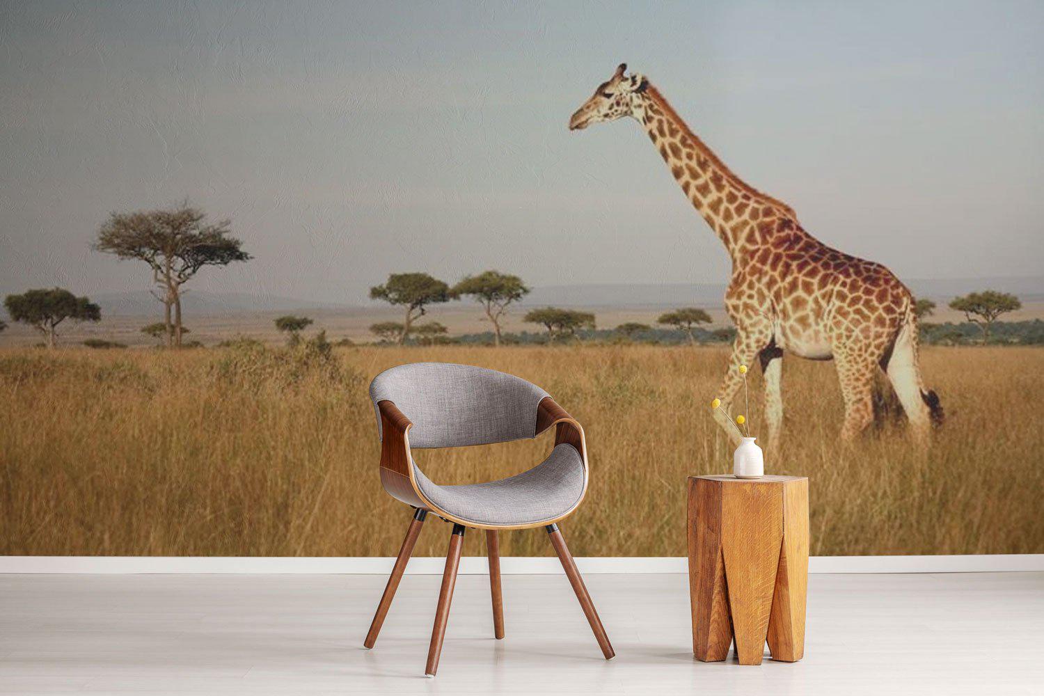Giraffe walking through the grasslands Wall Mural-Wall Mural-Eazywallz