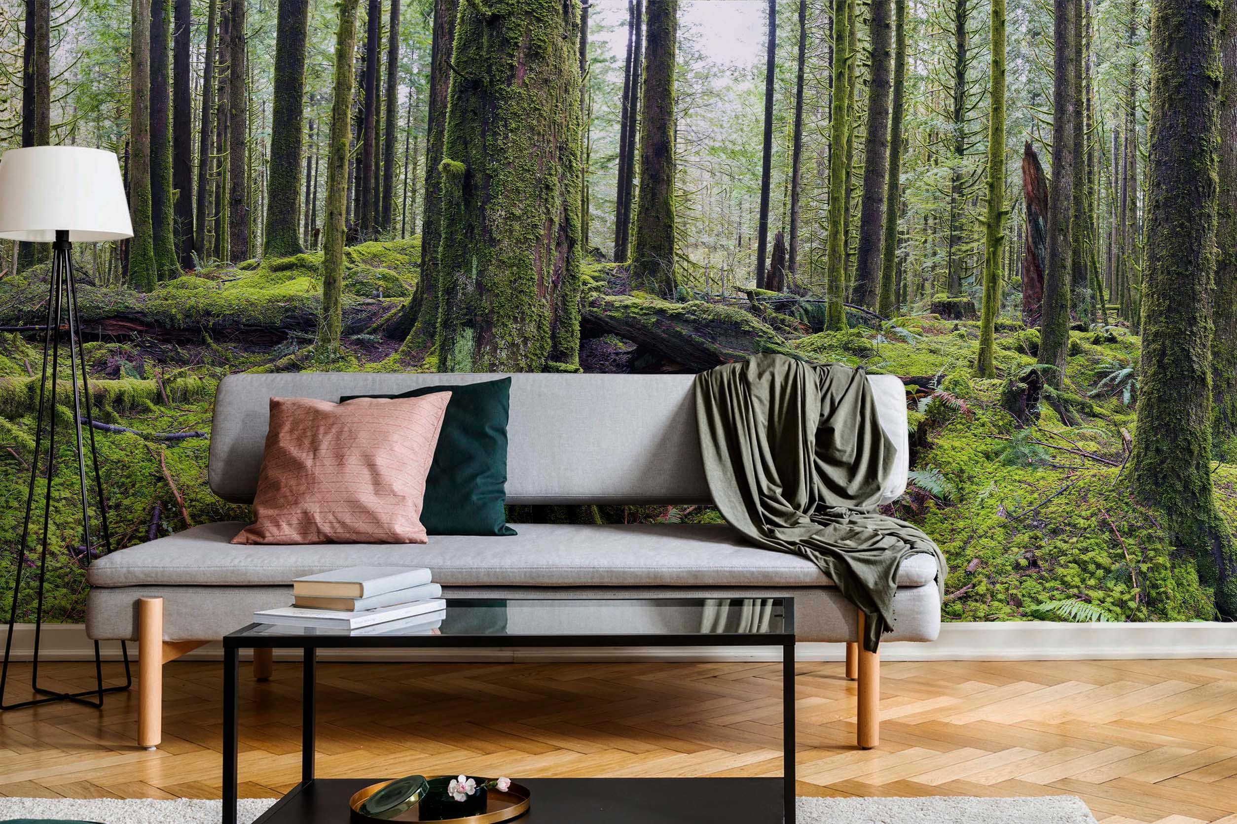 Golden Ears Rain Forest Wall Mural-Wall Mural-Eazywallz