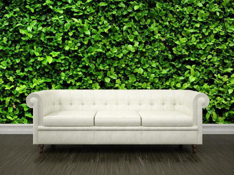 Green Bush Texture Wall Mural-Wall Mural-Eazywallz