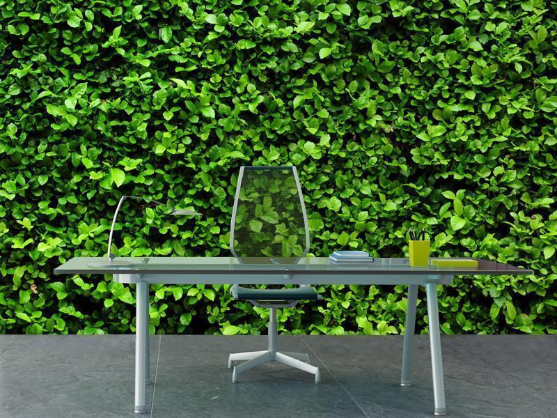 Green Bush Texture Wall Mural-Wall Mural-Eazywallz