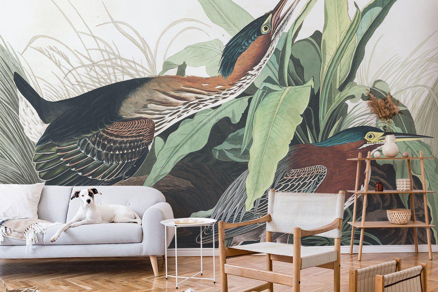 Green Heron Wall Mural-Wall Mural-Eazywallz