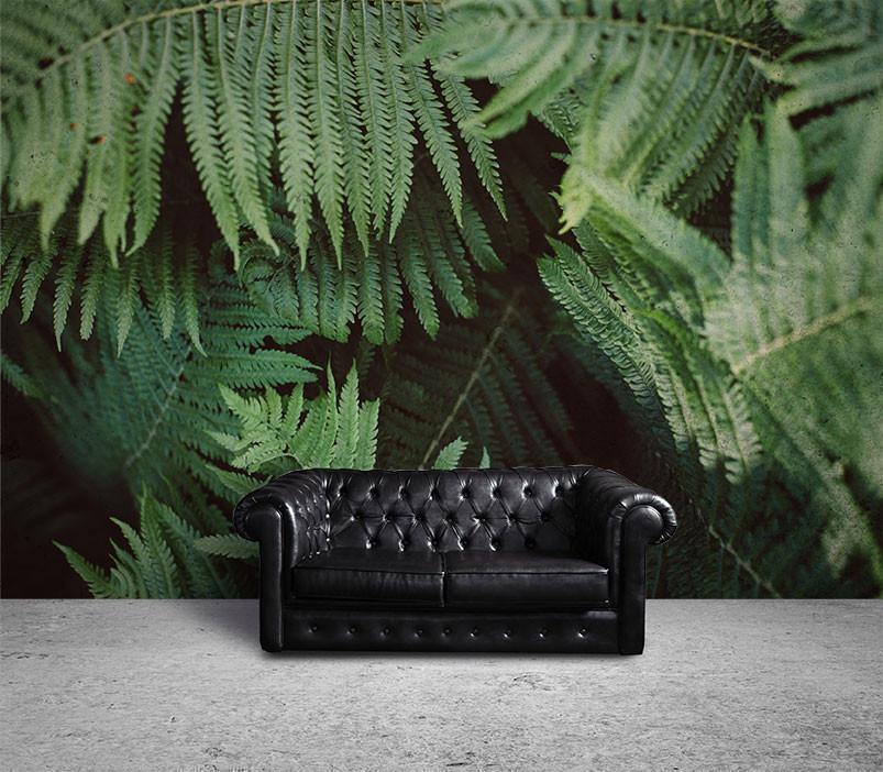 Green Plants in Morning Wall Mural-Wall Mural-Eazywallz