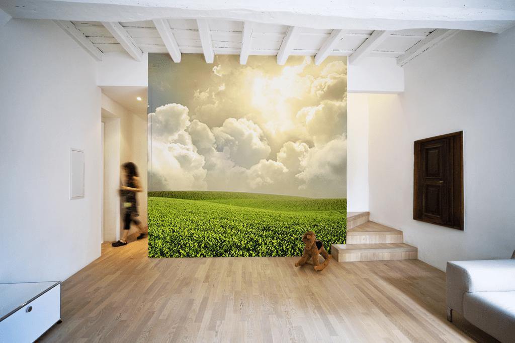 Green meadow under blue sky Wall Mural | Eazywallz