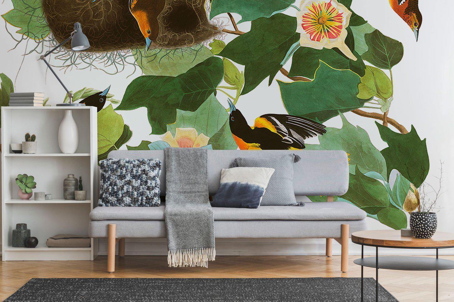 Group of Orioles Wallpaper Mural-Wall Mural-Eazywallz