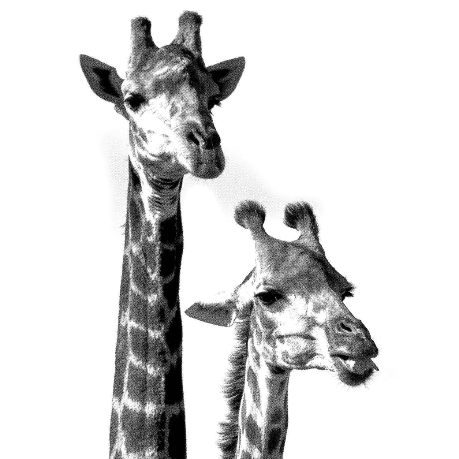 Halftone Giraffes Wallpaper Mural-Wall Mural-Eazywallz