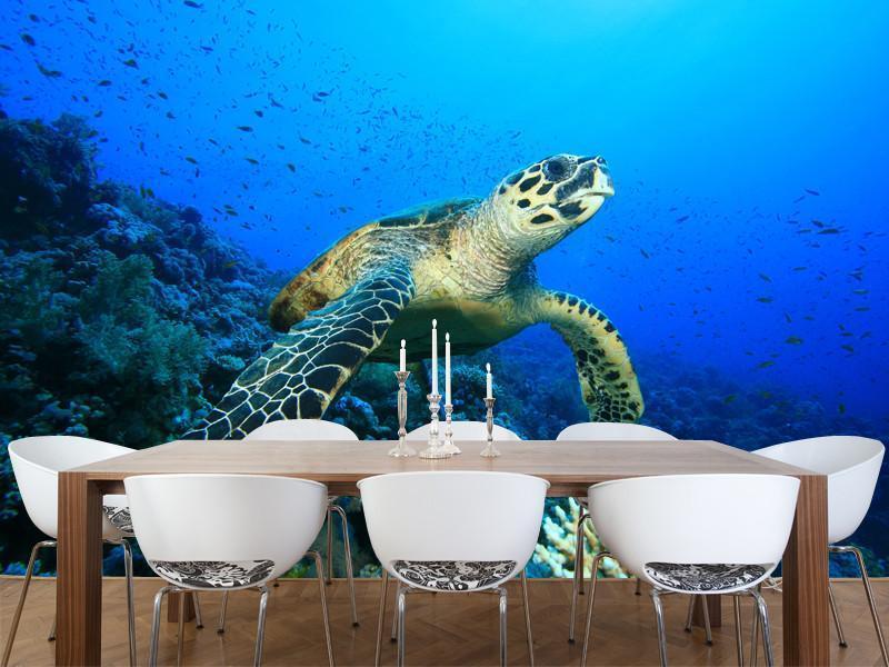 Hawksbill Turtle on a coral reef Wall Mural-Wall Mural-Eazywallz