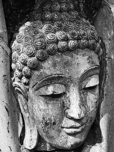 Head of Buddha Wall Mural-Wall Mural-Eazywallz