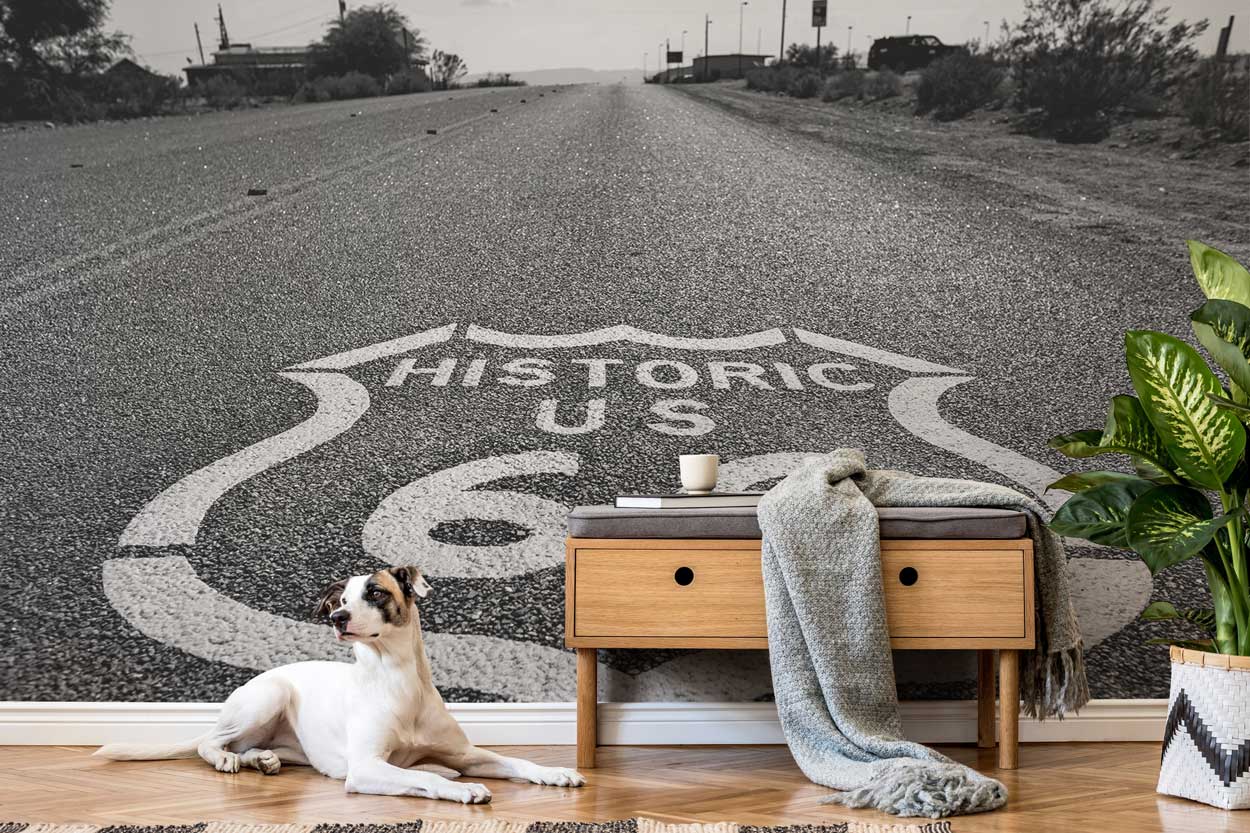Historic US route 66 road Wall Mural-Wall Mural-Eazywallz