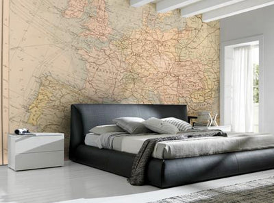 Historical Map of Europe Wall Mural-Wall Mural-Eazywallz