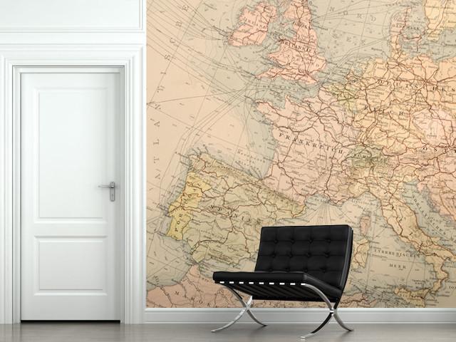 Historical Map of Europe Wall Mural-Wall Mural-Eazywallz