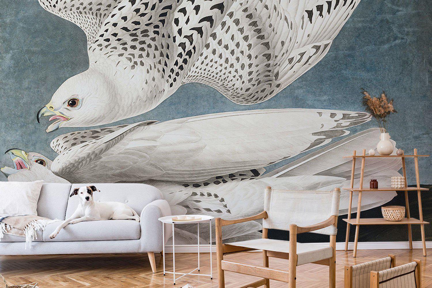 Icelandic Falcon Wall Mural | Birds of America Art | Eazywallz