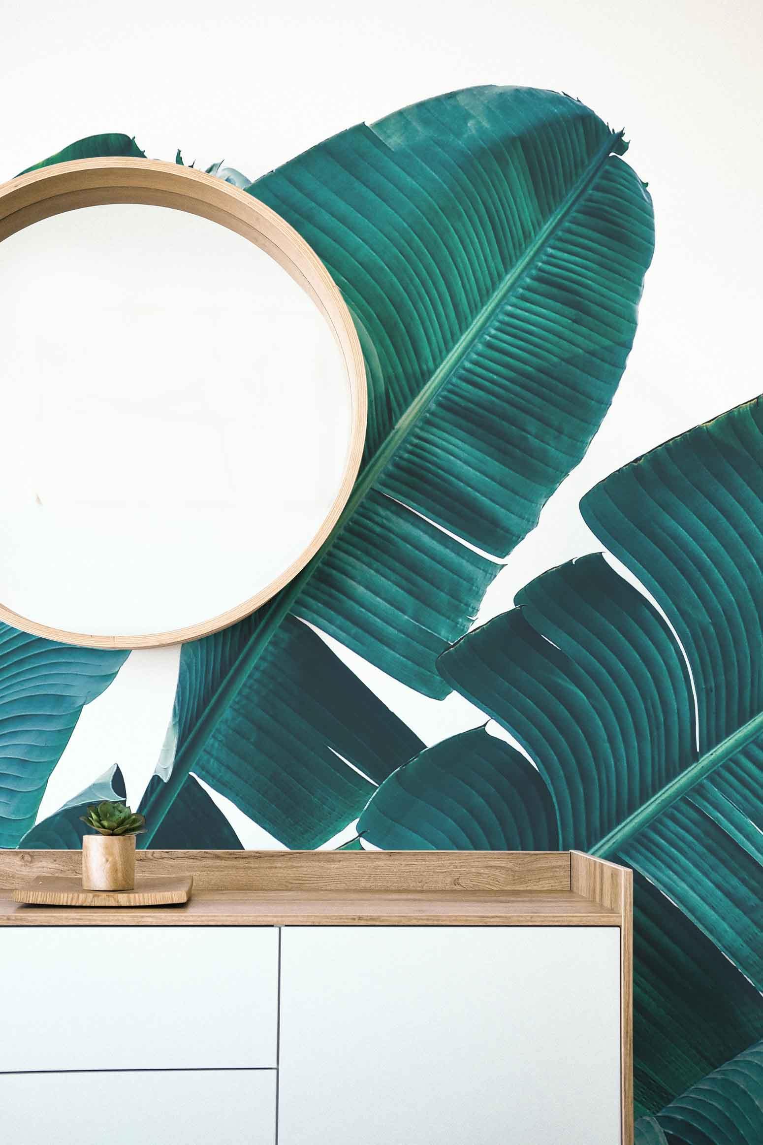 Isolated Banana Leaves Wall Mural-Wall Mural-Eazywallz