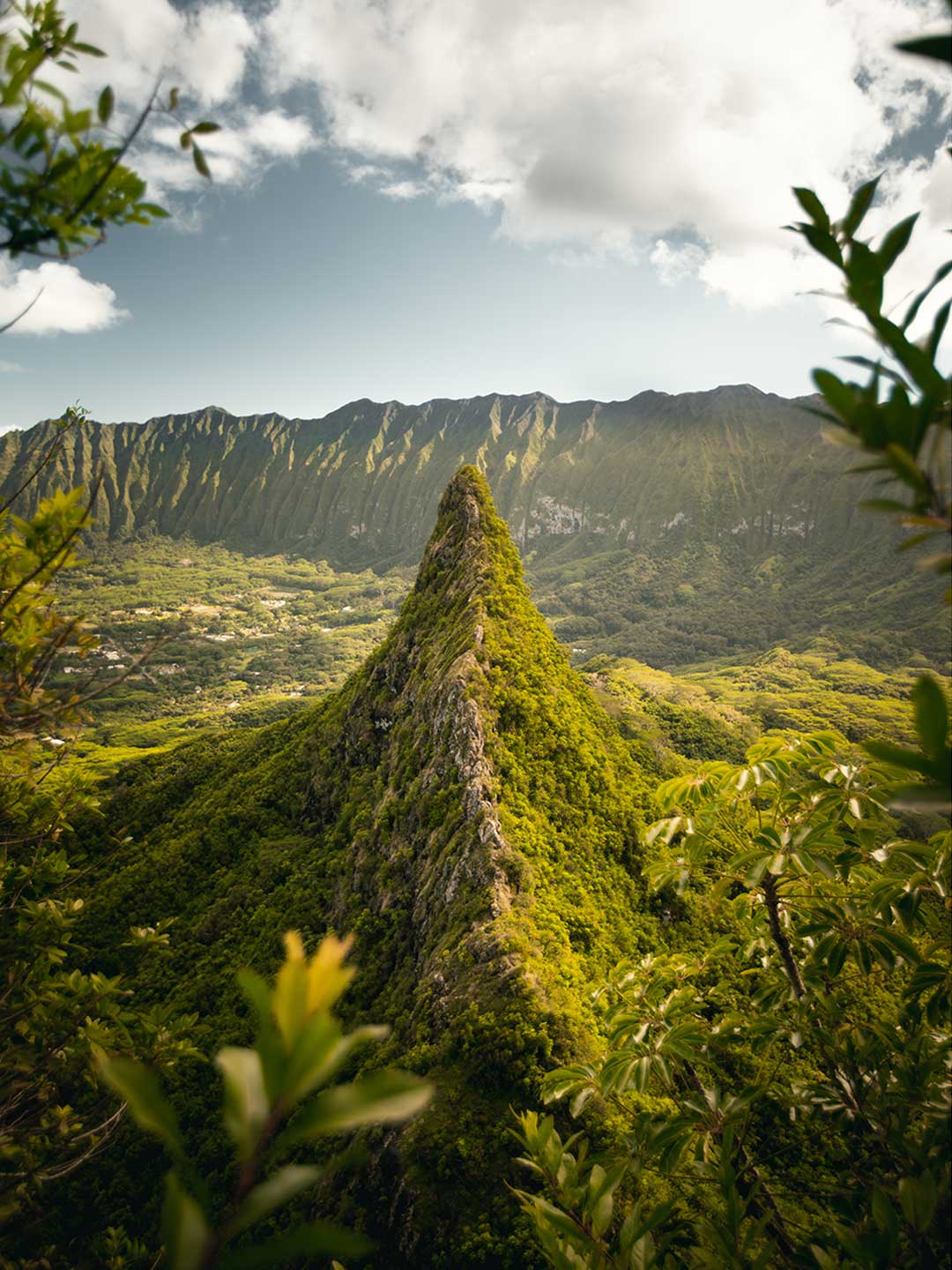 Jungle Mountain Peak Wall Mural-Wall Mural-Eazywallz