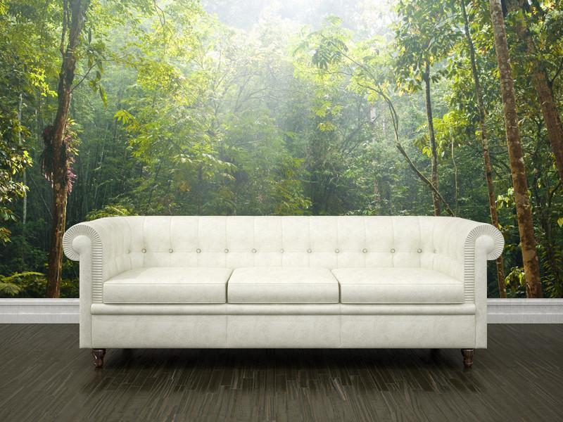 Jungle at dawn Wall Mural-Wall Mural-Eazywallz