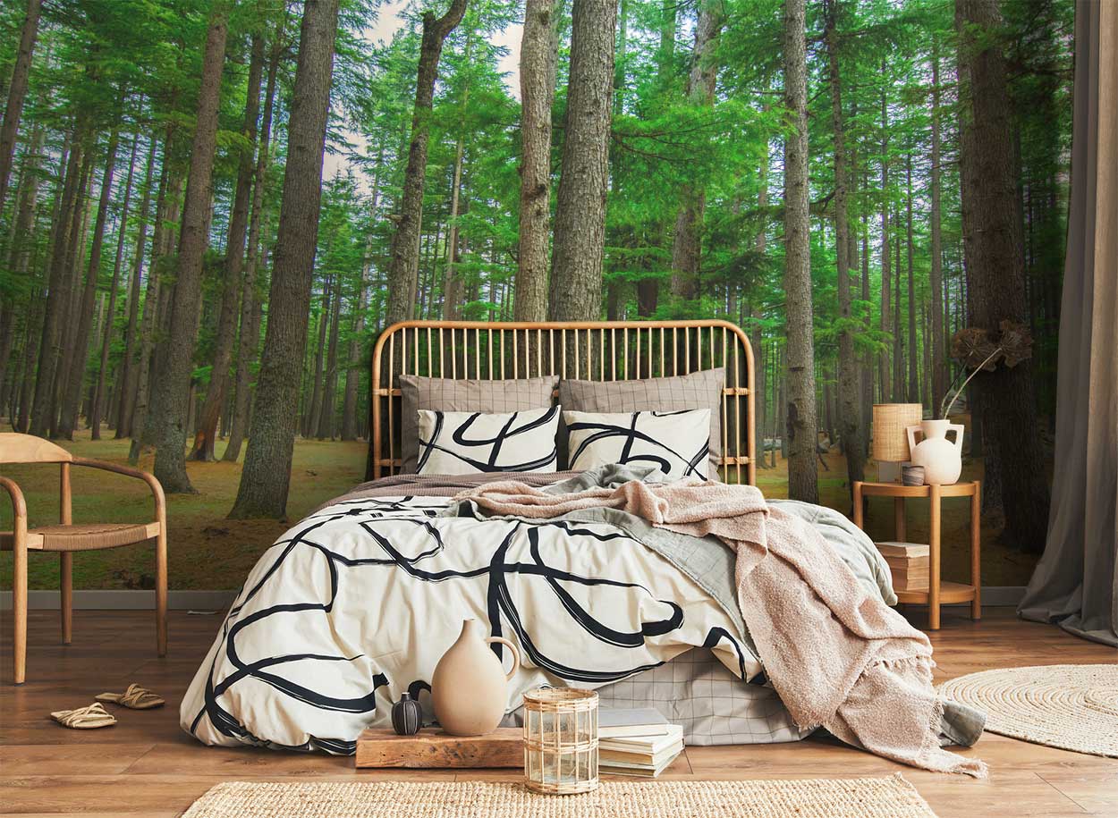 Kalam Valley Jungle Wall Mural-Wall Mural-Eazywallz