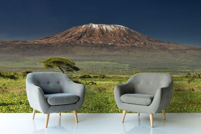 Kilimanjaro, Kenya Wall Mural-Wall Mural-Eazywallz