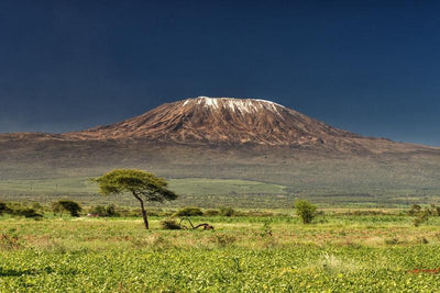 Kilimanjaro, Kenya Wall Mural-Wall Mural-Eazywallz