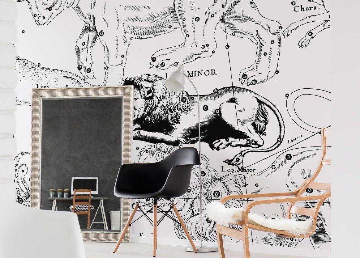 Leo Constellation Map Wall Mural-Wall Mural-Eazywallz