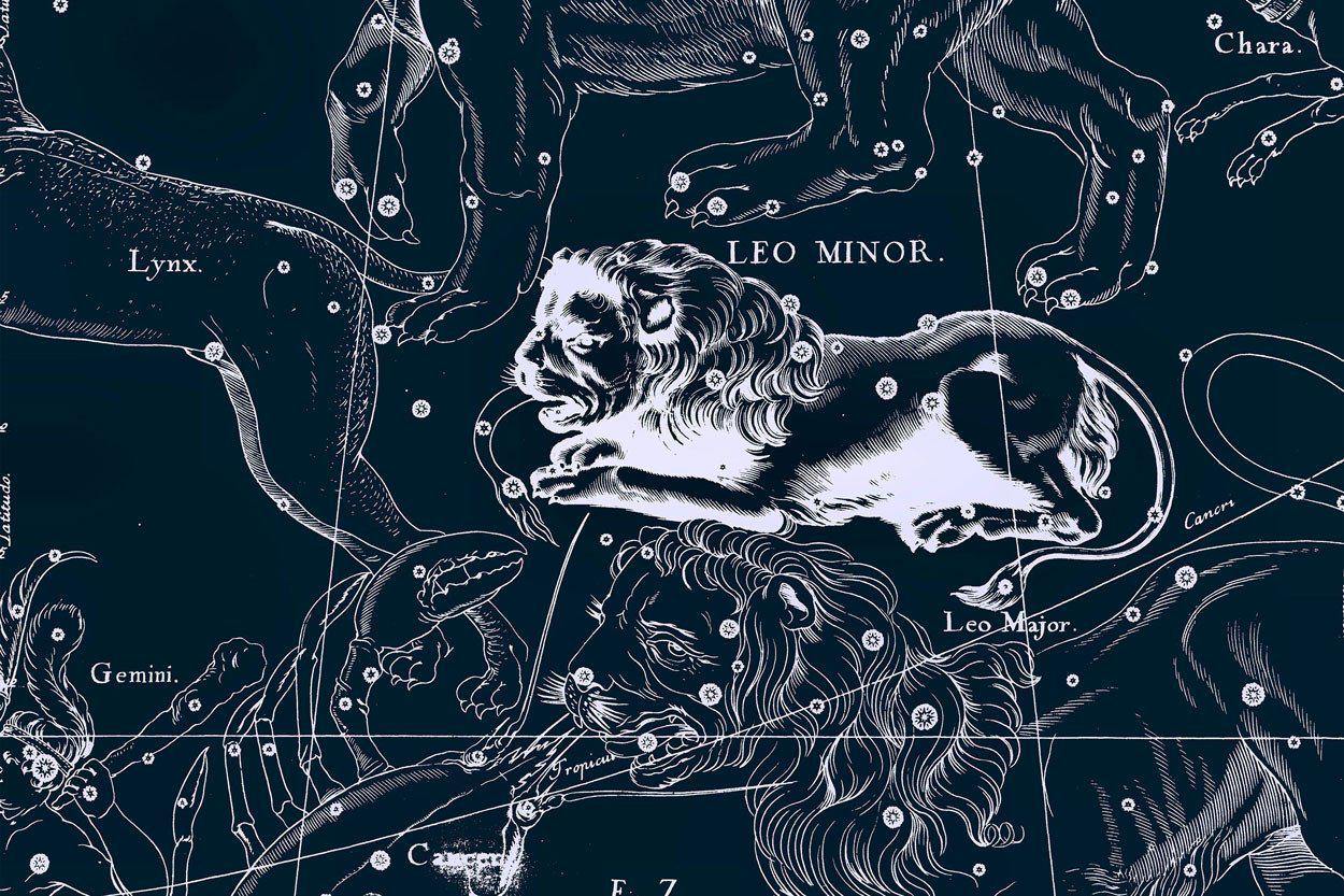 Leo Constellation Map in Navy Wall Mural-Wall Mural-Eazywallz