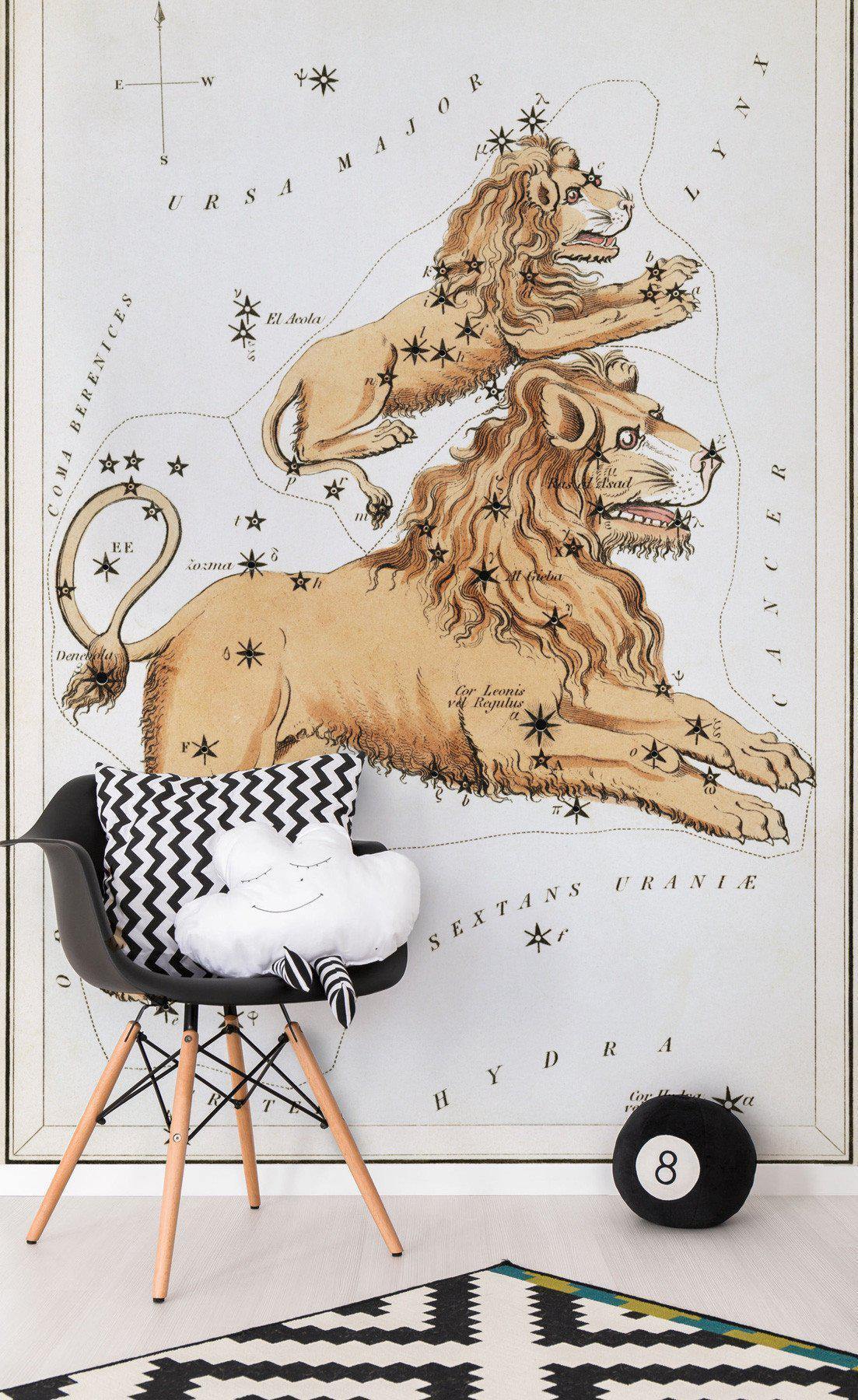 Leo Wall Mural-Wall Mural-Eazywallz