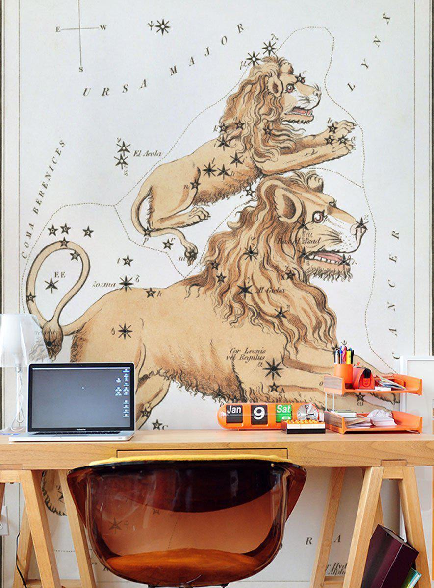 Leo Wall Mural-Wall Mural-Eazywallz