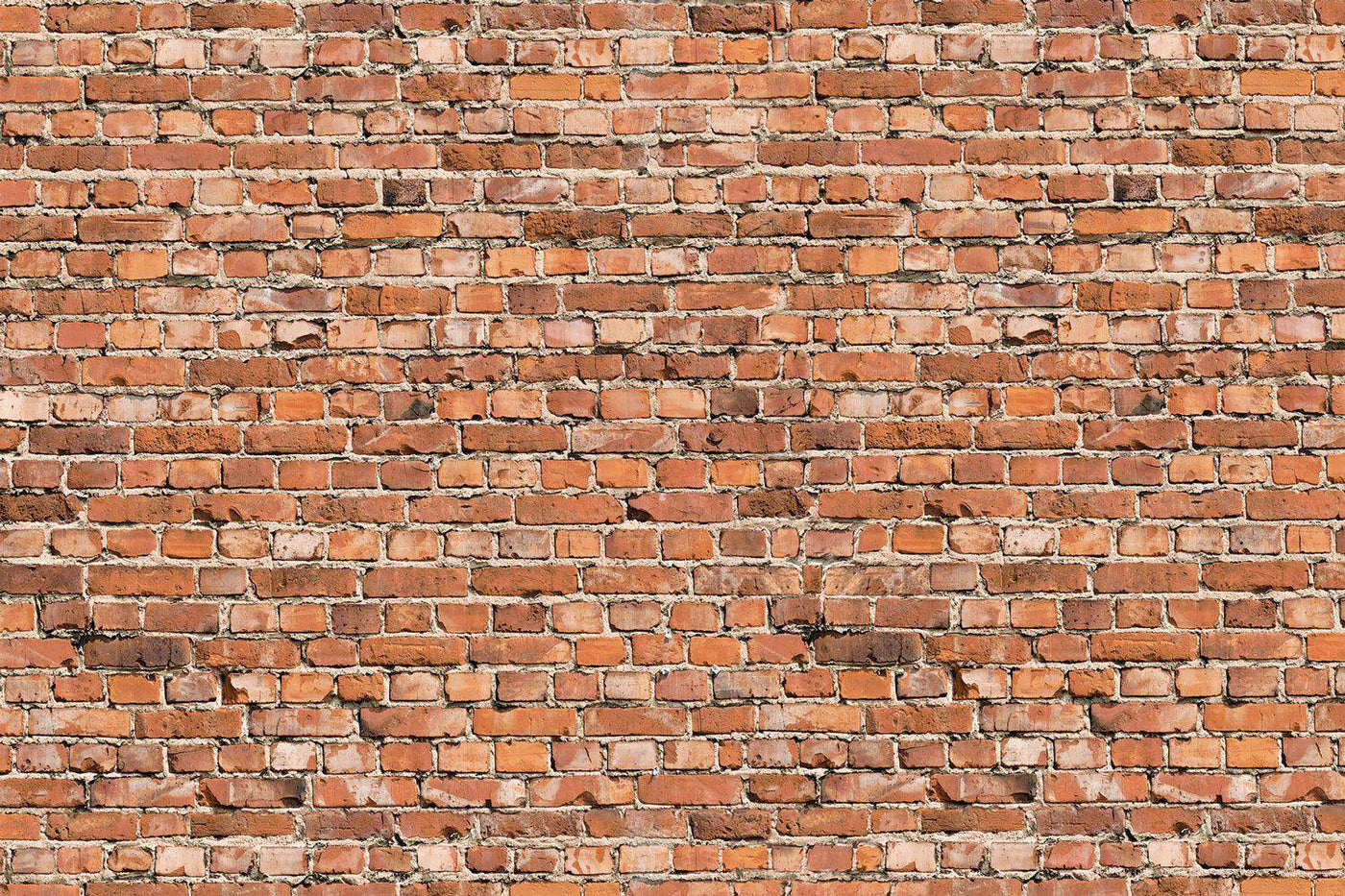 Light Distorted Brick Wall Mural | Texture Wallpaper | Eazywallz