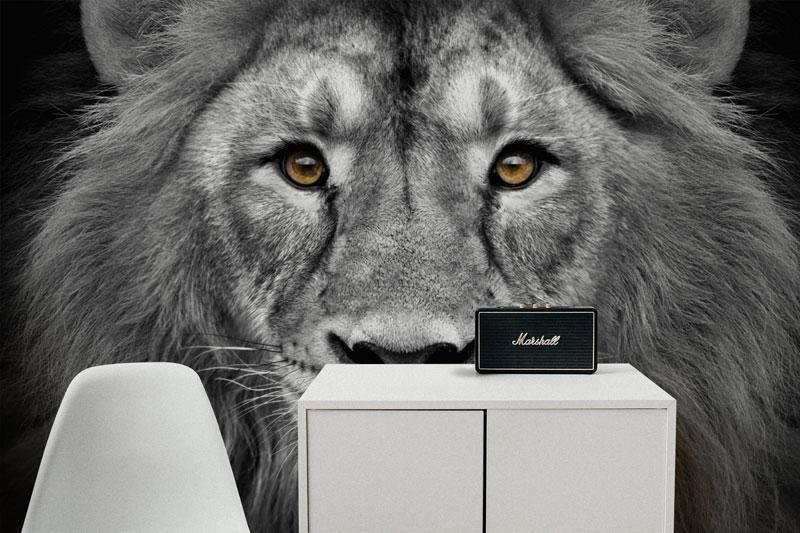 Lion Head Wall Mural Wall Mural-Wall Mural-Eazywallz