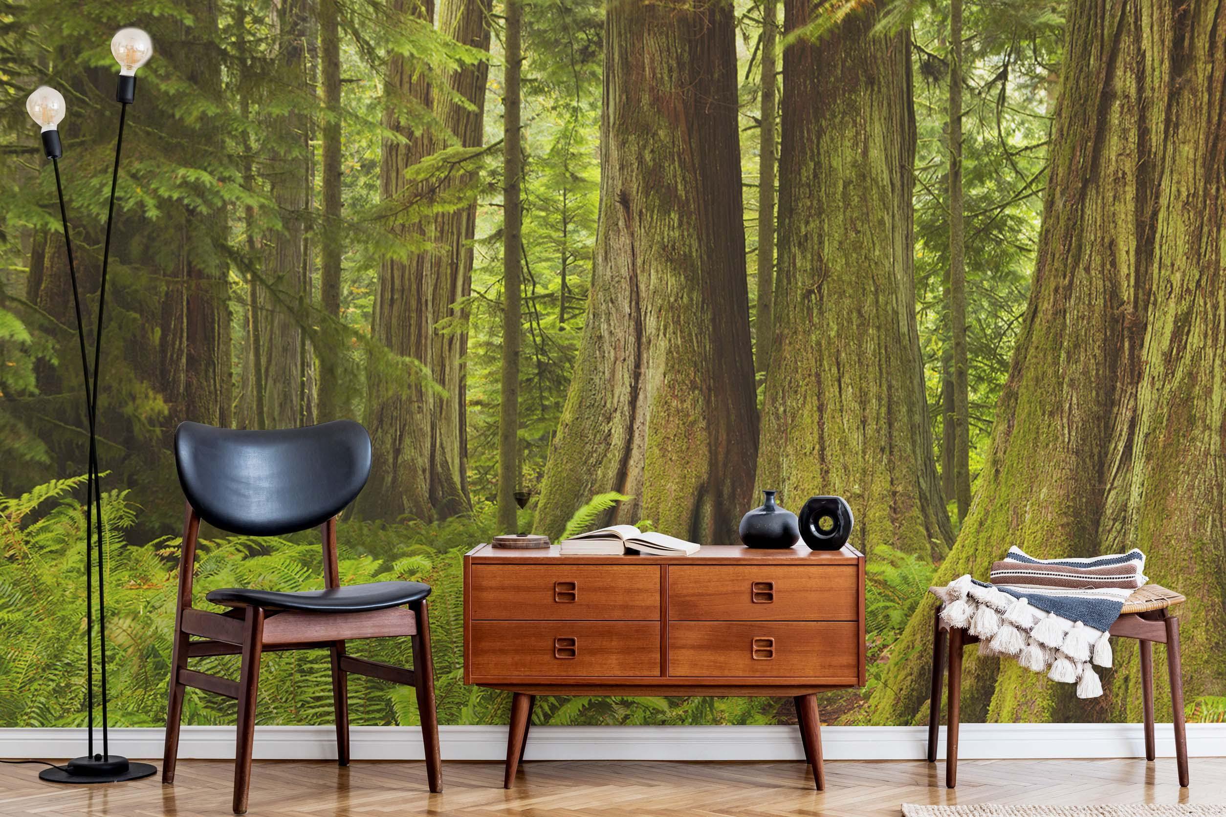 Lush Rainforest Wall Mural-Wall Mural-Eazywallz