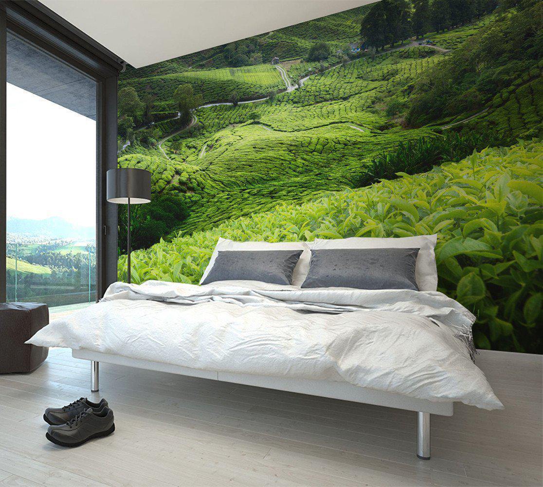 Malaysian Tea Plantation Wall Mural-Wall Mural-Eazywallz