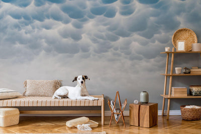 Mammatus Clouds 2 Wall Mural-Wall Mural-Eazywallz