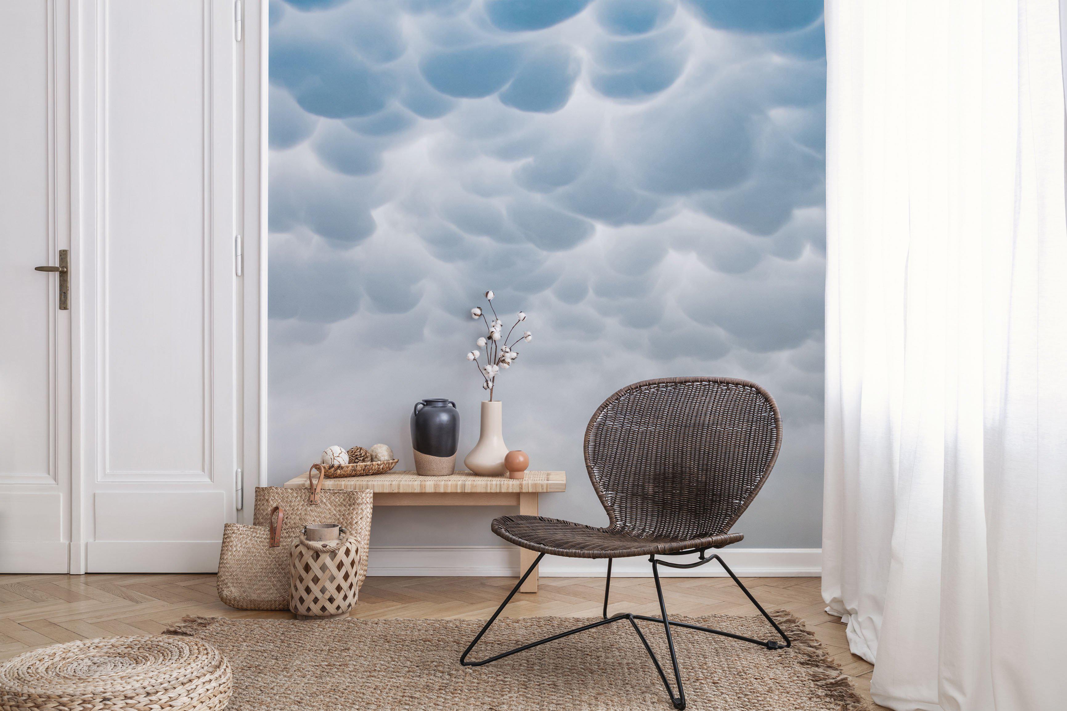 Mammatus Clouds 2 Wall Mural-Wall Mural-Eazywallz