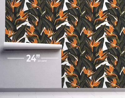 Mango Birds of Paradise Wallpaper #330-Repeat Pattern Wallpaper-Eazywallz