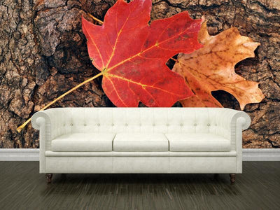 Maple leaves against the bark of a tree Wall Mural-Wall Mural-Eazywallz