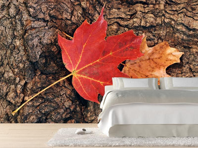 Maple leaves against the bark of a tree Wall Mural-Wall Mural-Eazywallz