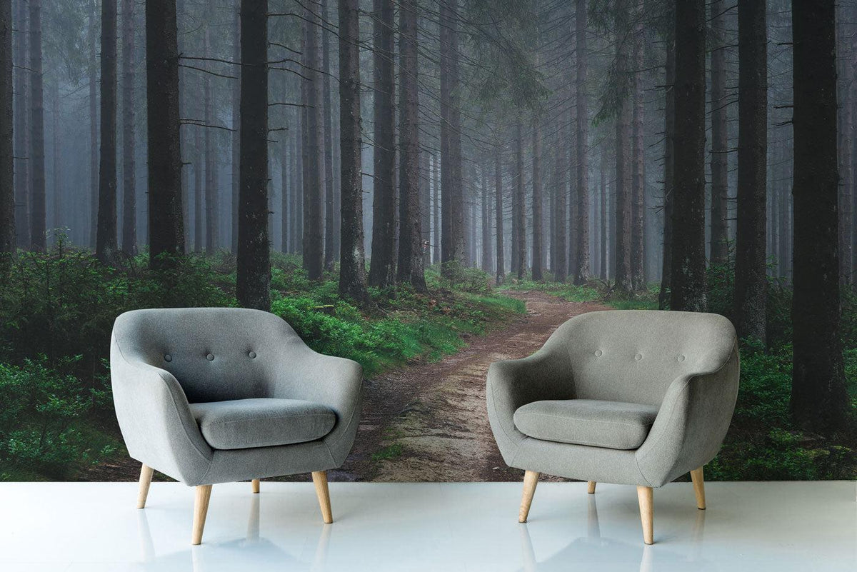 Moody Forest Wall Mural | Forest Wallpaper | Eazywallz