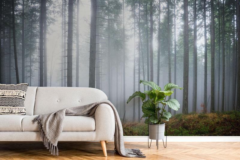 Mysterious fog in Green Forest Wall Mural-Wall Mural-Eazywallz