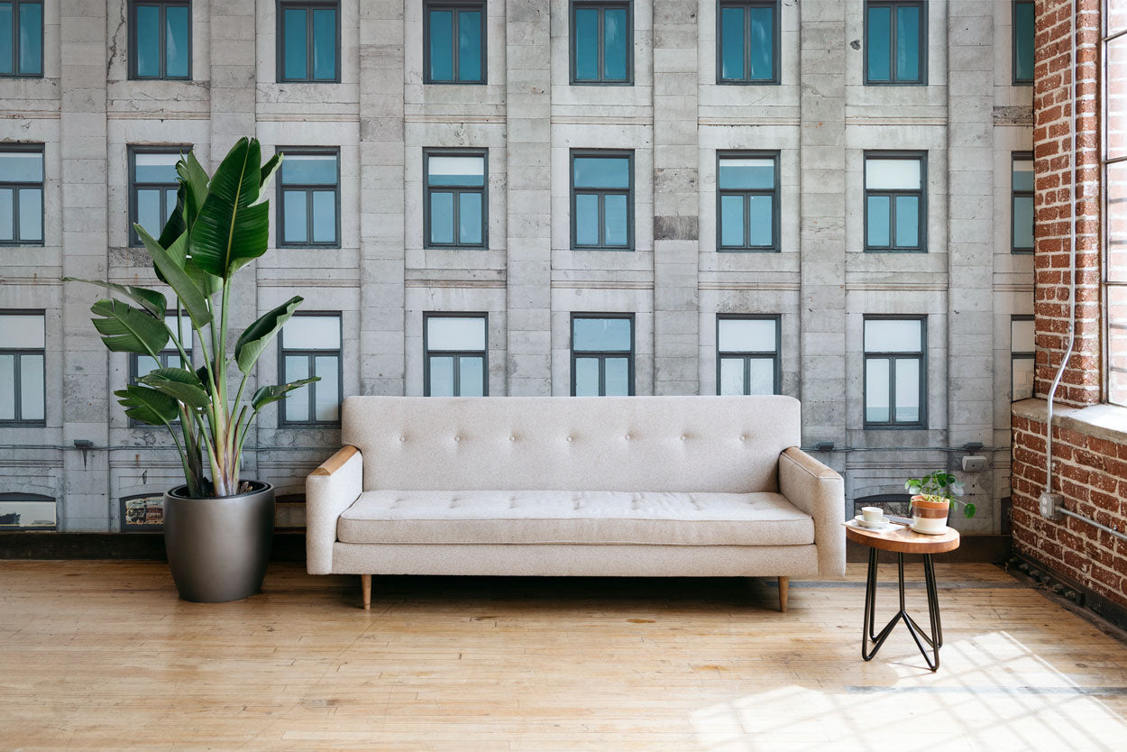 Building Facade in Montreal Wall Mural