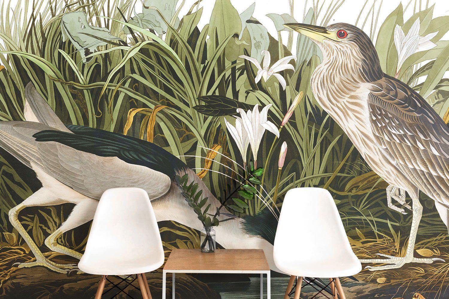 Night Heron Wallpaper Mural-Wall Mural-Eazywallz